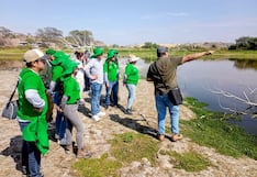 Piura: Registran más de 50 especies de aves en Laguna de los Patos