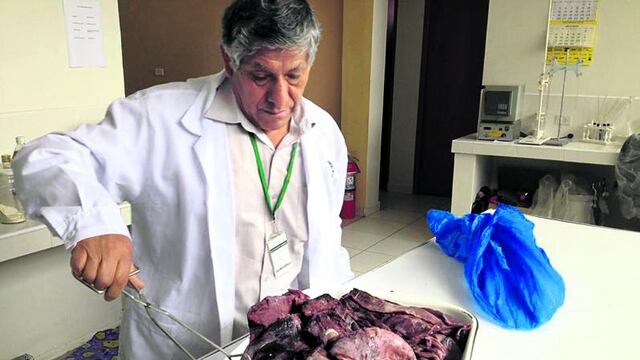 Decomisan carne malograda en carnicerías de Ica