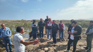 Acuerdan medidas para proteger humedales de Camaná