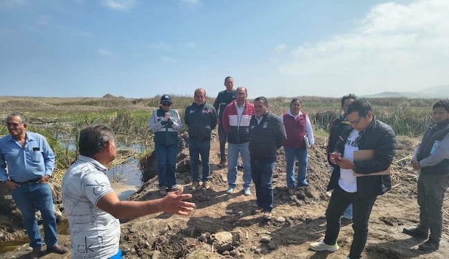Promoverán una ordenanza provincial para la conservación del humedal (Foto: ANA)