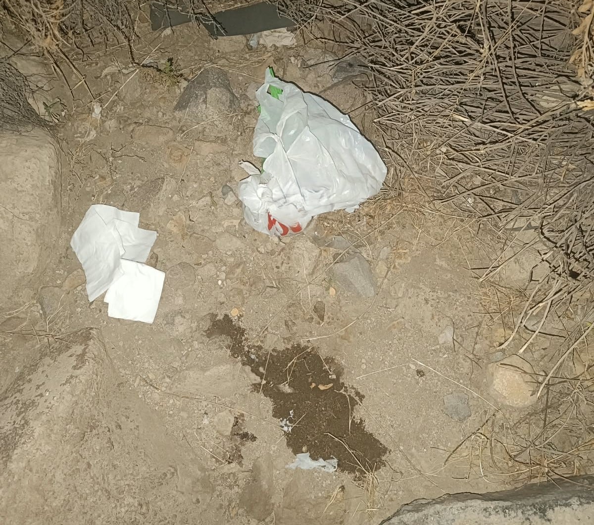 El feto se ecnontraba en bolsa y a lado habría orina