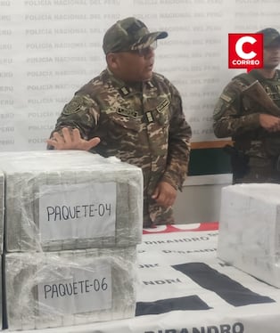 Puno: Policía antidrogas decomisa más de 40 kilos de cocaína en la vía Puno-Ilave. Foto: Diario Correo.