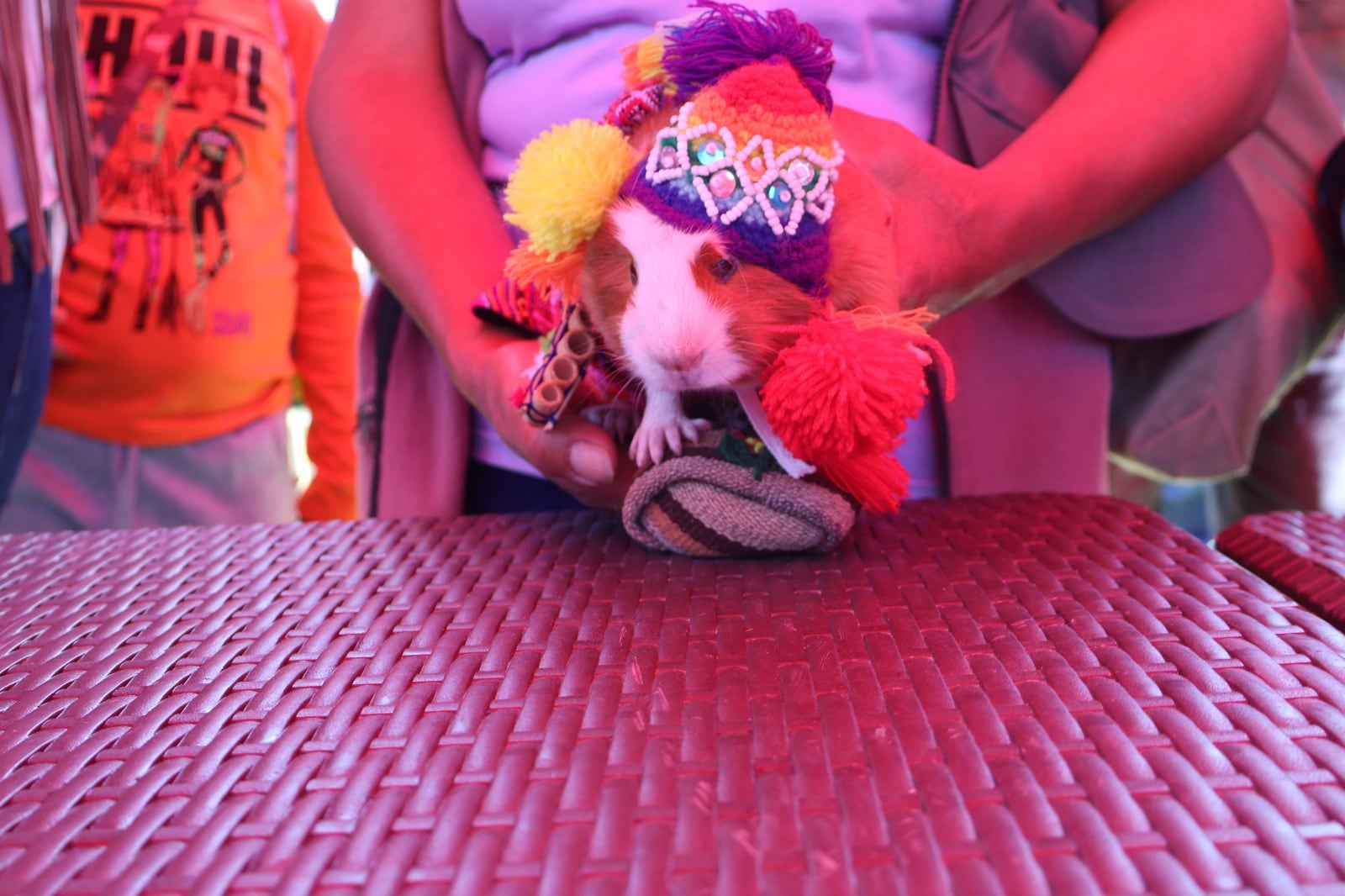 Primer Concurso de Cuy Fashion 2025 en Quequeña, Arequipa. Foto: Municipalidad de Quequeña.