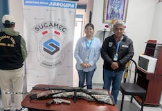 Arequipa: Policía recupera tres armas de fuego con licencias vencidas