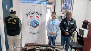 Arequipa: Policía recupera tres armas de fuego con licencias vencidas