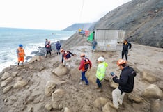 Panamericana Sur: Luego de 5 días de bloqueo gobernador llega a la zona de emergencia