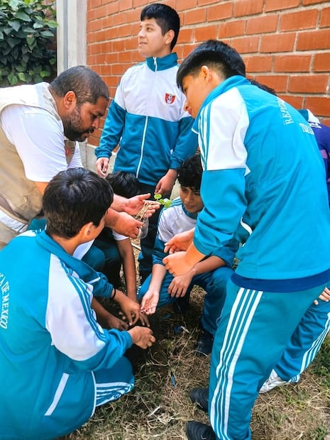 Ministerio de Cultura promueve cultivo de algodón nativo en la región La Libertad
