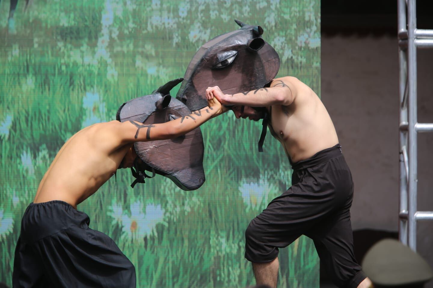 Interpretación de las peleas de toros en Arequipa. (Foto: Leonardo Cuito)