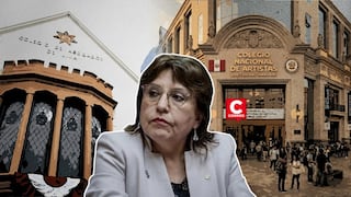 CAL cuestiona creación del Colegio Nacional de Artistas por disposición que inhabilitaría a Delia Espinoza