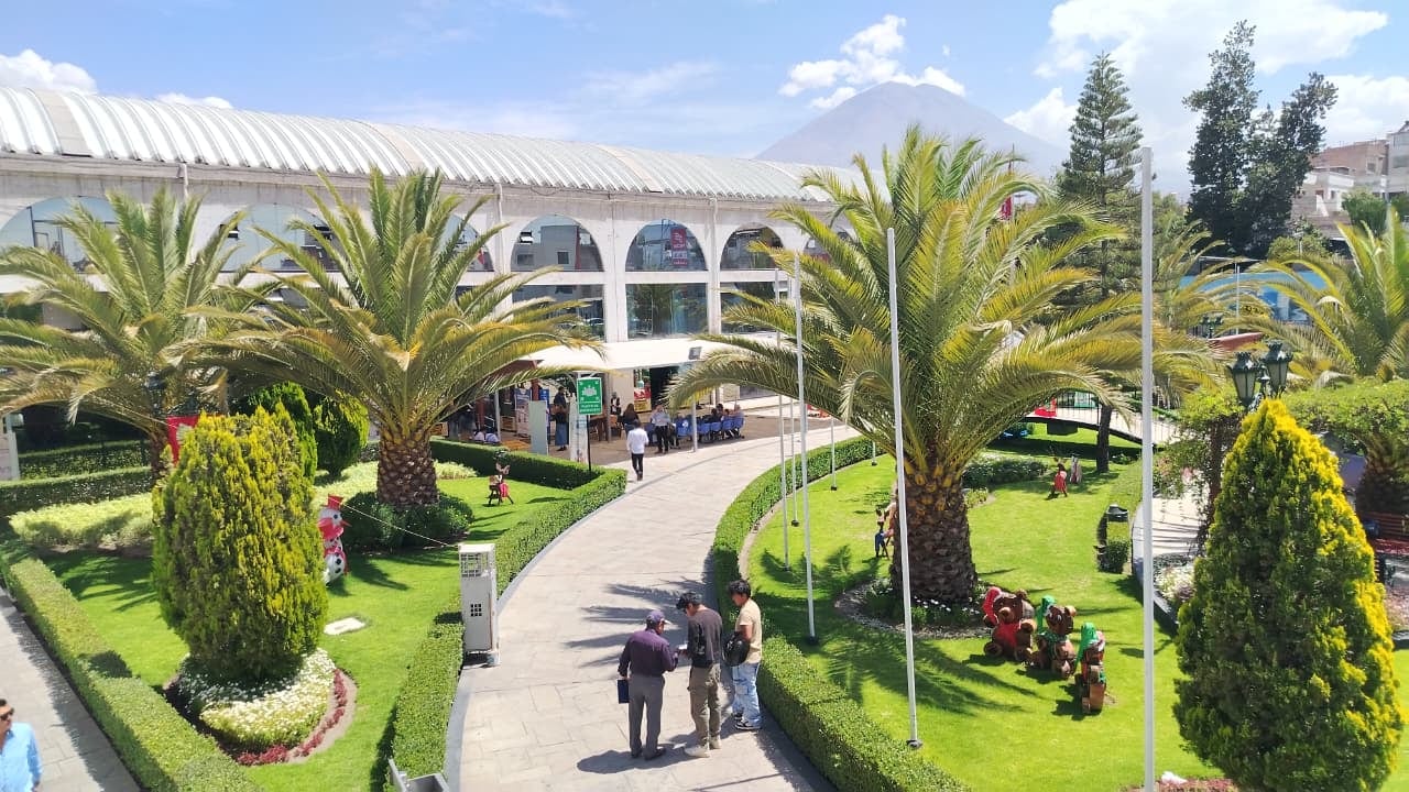 Dos regidoras quieren seguir en la Municipalidad Provincial de Arequipa. Foto: GEC.