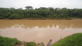 Desborde del río Pachitea en Tournavista afecta sembríos