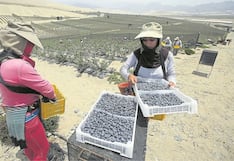 La Libertad: Más puestos de trabajo formales para las mujeres
