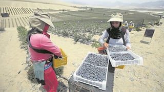 La Libertad: Más puestos de trabajo formales para las mujeres