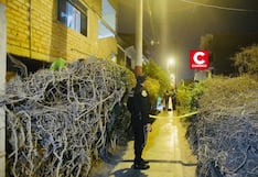 Comas: anciano fue asesinado de 7 disparos en la puerta de su casa tras una llamada previa