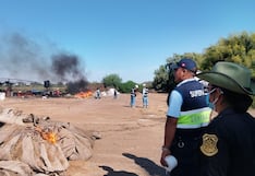 Pisco: decomisan seis toneladas de recursos marinos en operativo contra la pesca ilegal