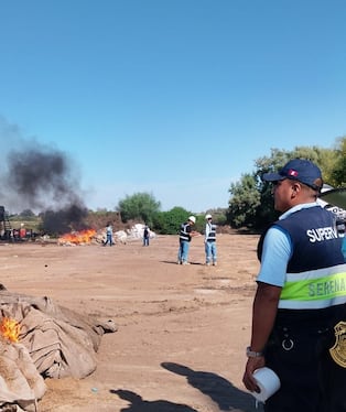Pisco: decomisan seis toneladas de recursos marinos en operativo contra la pesca ilegal