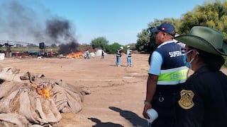 Pisco: decomisan seis toneladas de recursos marinos en operativo contra la pesca ilegal