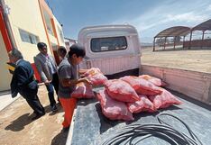 Agricultores de Arequipa no pueden trasladar papa y cebolla a Lima