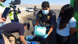 Tacna: Perro delata a pasajera que llevaba 29 kilos de droga