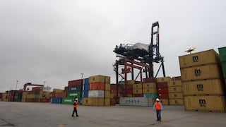Potencial exportador a Países Bajos suma $2500 millones