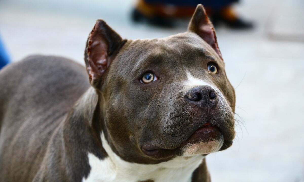 Pequeña tuvo que ser evacuada de emergencia desde Yunguyo al hospital regional Manuel Núñez Butrón de Puno. (Foto referencial: Pixabay)