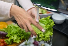 Cinco prácticas para manipular y conservar los alimentos de forma segura en casa
