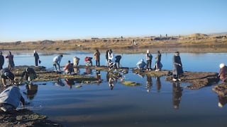 Puno: Cientos de familias recogen piedrecillas en los ríos y participan de la tradicional ch’alla