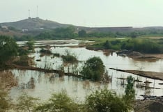 Piura: Represa colapsa e inunda zonas agrícolas y ladrilleras en Sullana
