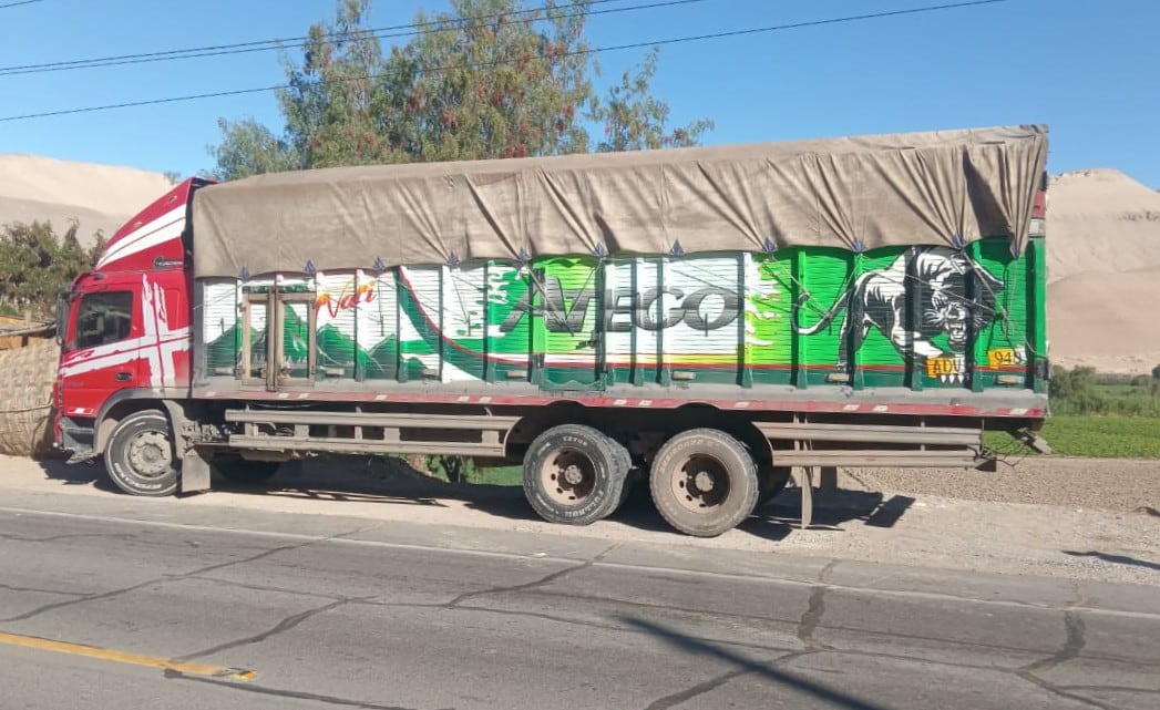 Vehículo pesado utilizado para el transporte de ganado fue chocado en la Panamericana Sur