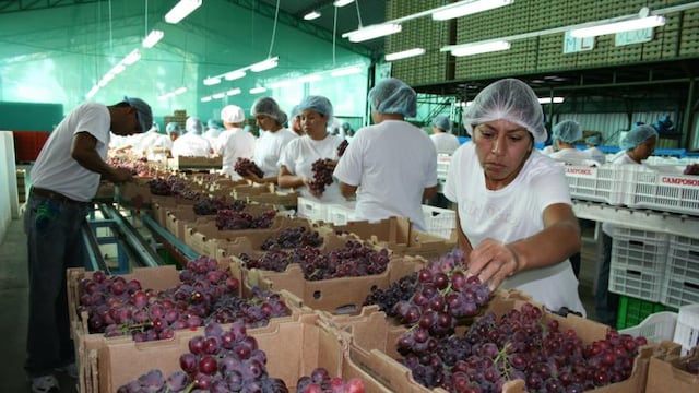 Mincetur: Exportaciones de uvas alcanzarían los US$ 1,400 millones al cierre de 2022 