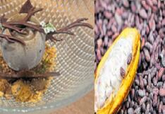 Cacao y café peruanos presentes en listado de 50 Best Restaurants