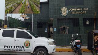 Lambayeque: Hurtan maquinaria valorizada en medio millón de soles en Mórrope