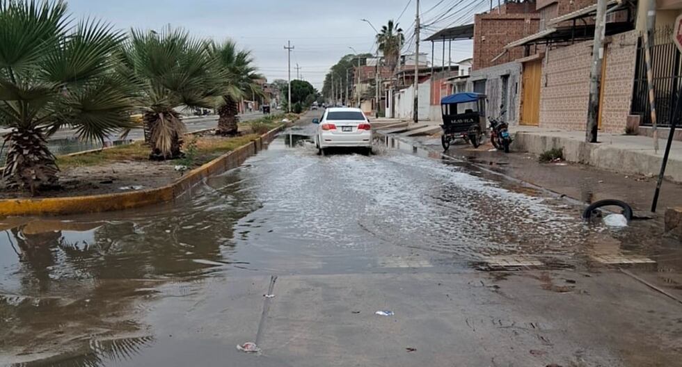 Piura: Hallan troncos y llantas en redes de desagües en la Urb. El ...