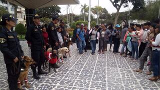 Selección peruana: Perros de la PNP patrullan vestidos con la Blanquirroja en Chiclayo (VIDEO)