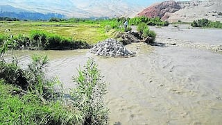 Río Majes arrasa con 30 hectáreas de arroz