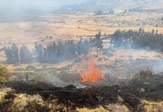 Arequipa: Incendio forestal no puede ser controlado desde hace tres días, en Cotahuasi