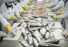 La pesca en Piura enfrenta riesgos por riesgos climáticos y aumento del petróleo