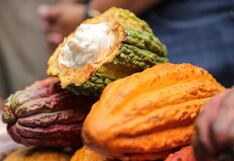 Al café y cacao peruano les espera un 2025 retador