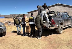Puno: intervienen a cuatro presuntos integrantes de una banda criminal y recuperan vehículos robados