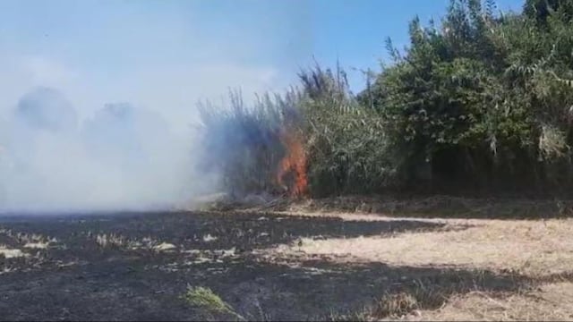Incendio afecta cultivos en Camaná por quema de granza de arroz