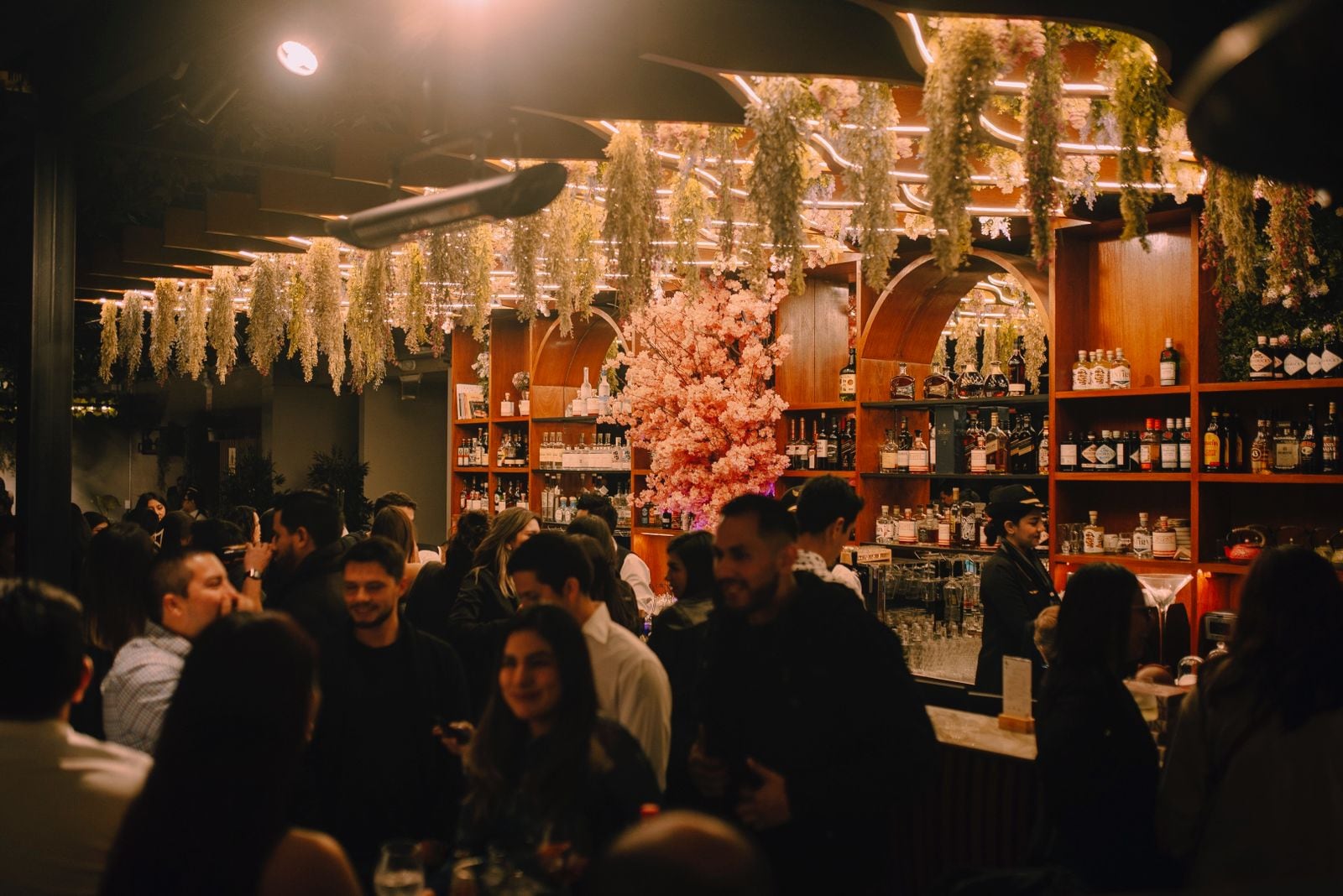 El rooftop de Miraflores despedirá el 2025 con una celebración inspirada en el icónico cabaret parisino, combinando música en vivo, gastronomía de autor y una experiencia sensorial de alto nivel.