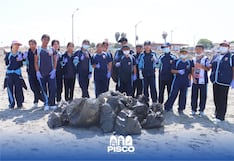 Retiran media tonelada de residuos durante jornada de limpieza de playas y humedales en Pisco