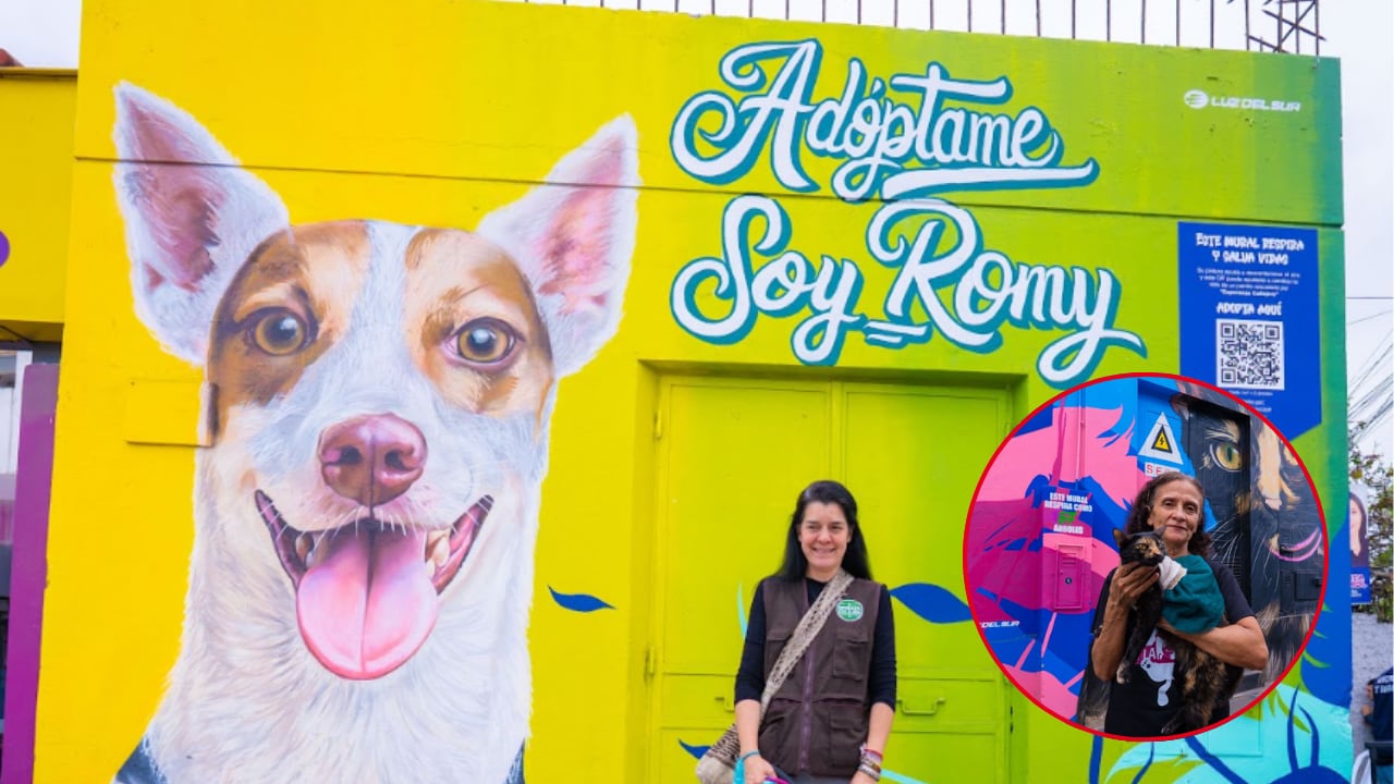 Murales en Barranco promueven adopción de mascotas y cuidado ambiental