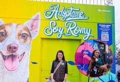 Murales en Barranco promueven adopción de mascotas y cuidado ambiental