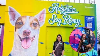 Murales en Barranco promueven adopción de mascotas y cuidado ambiental