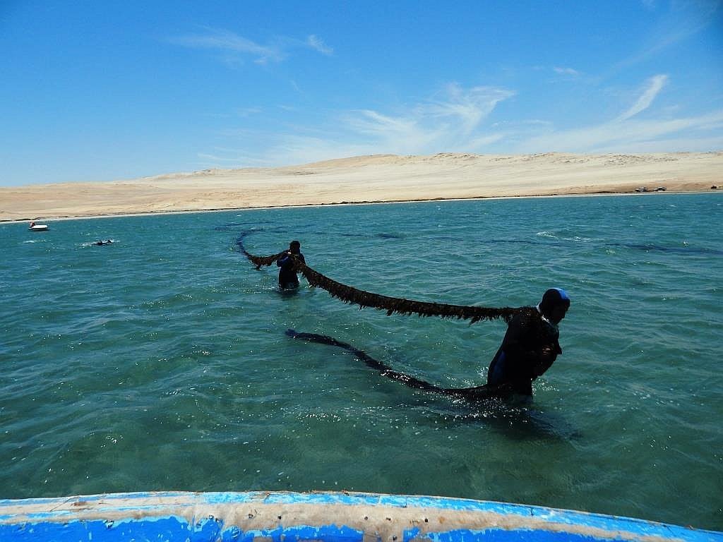 Punta Negra: Vecinos denuncian pesca ilegal con explosivos en la playa El Puerto (Foto referencial)