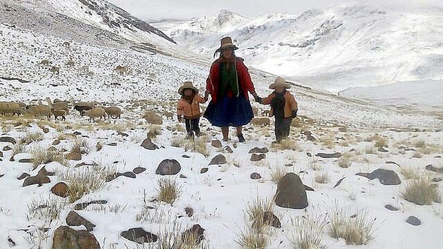 Neumonía por bajas temperaturas ya mató a 85 personas en Cusco (FOTOS)