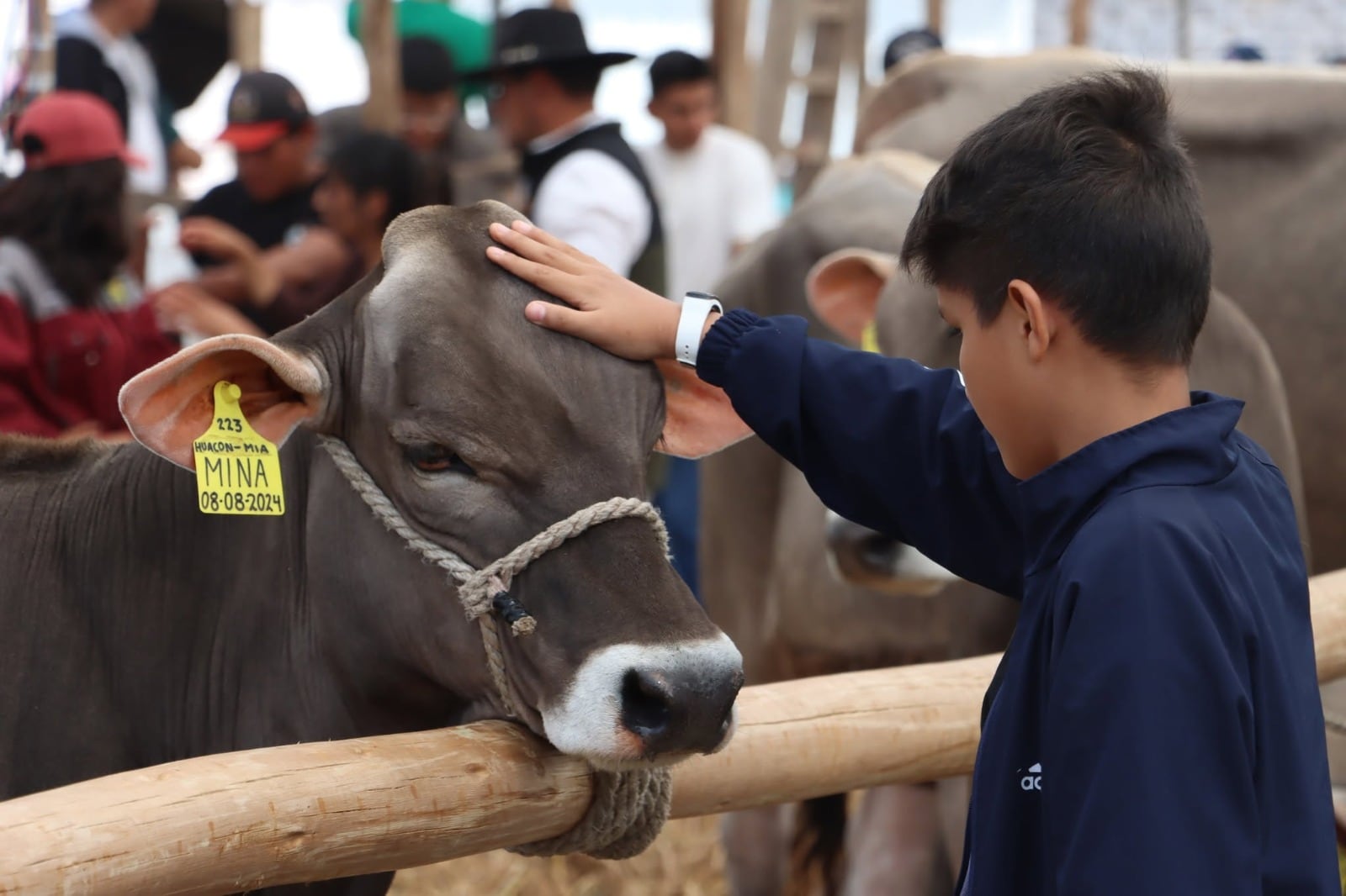 Productores de leche buscan elevar genética y eficiencia ante riesgos climáticos y mayores costos. La Feria Nacional de Ganado Lechero será el 12 y 13 de setiembre en Lurín.