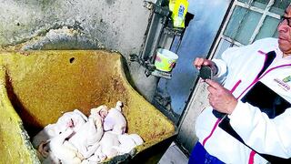 Descubren pollerías insalubres en víspera del ‘Día del Pollo a la Brasa’