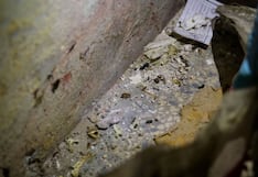 Huancayo: Heces de ratas es lo que más hallan en restaurantes y panaderías